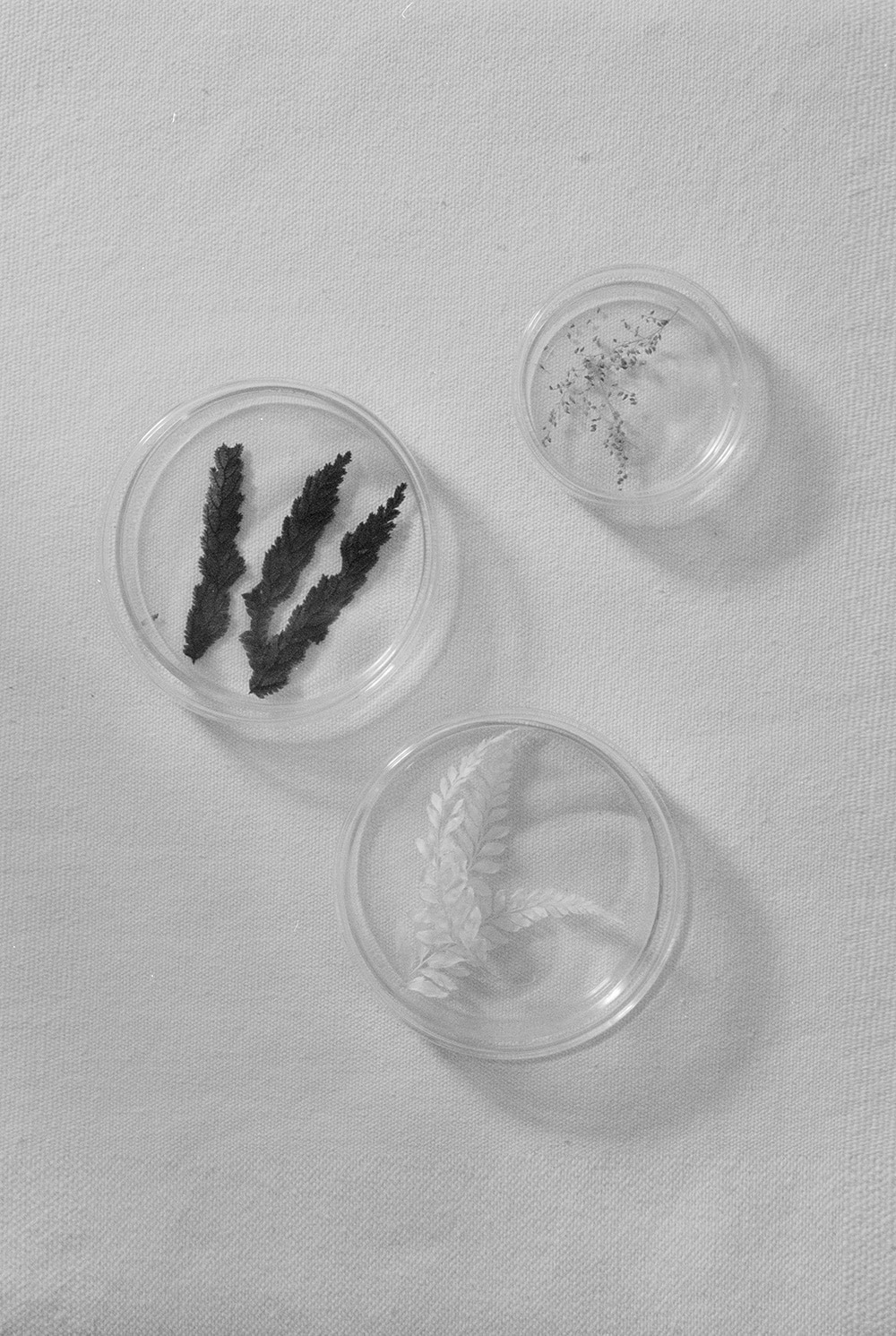 Gentle Monster - 2016 campaign Secret Neighbors part2