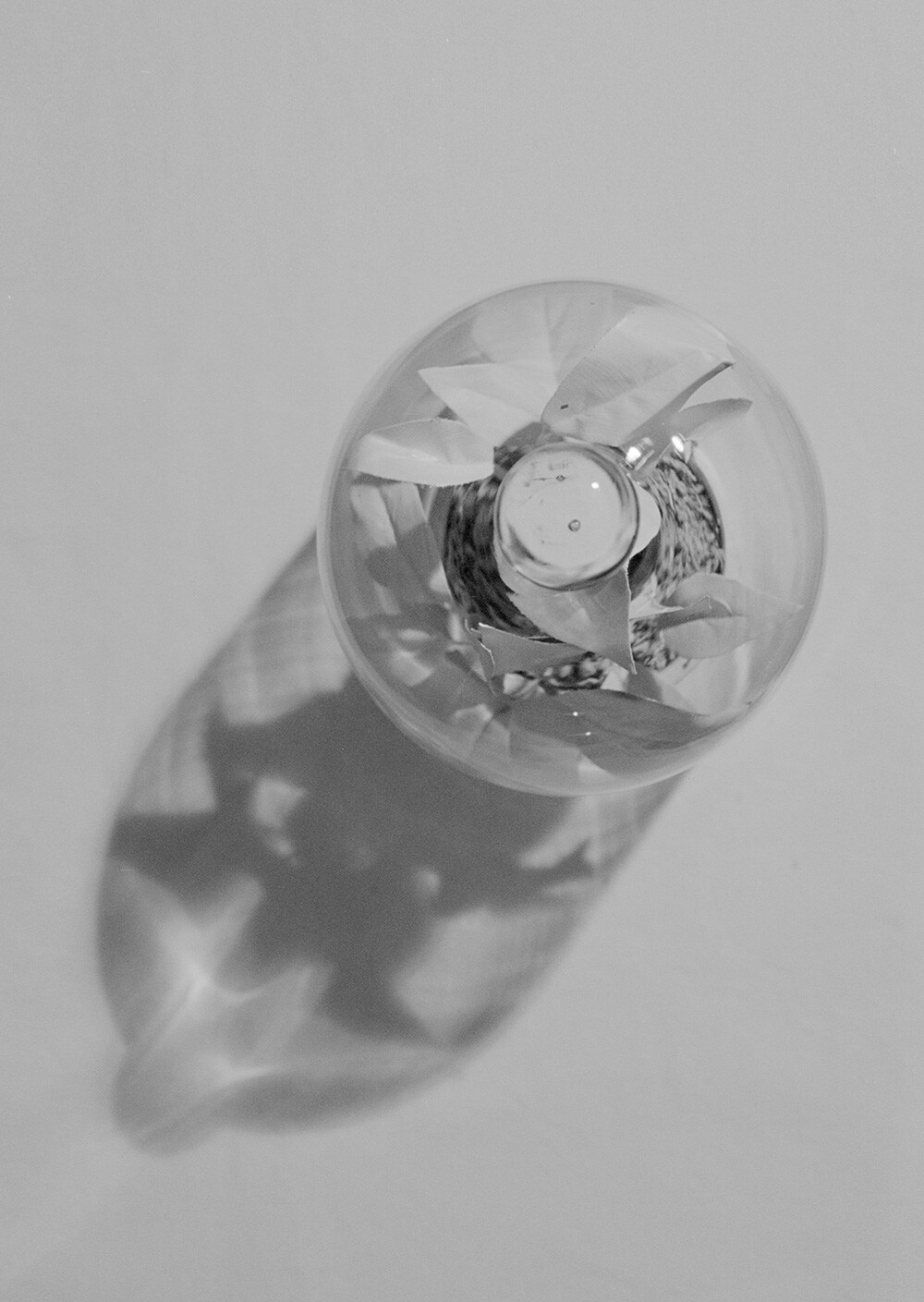 Gentle Monster - 2016 campaign Secret Neighbors part2