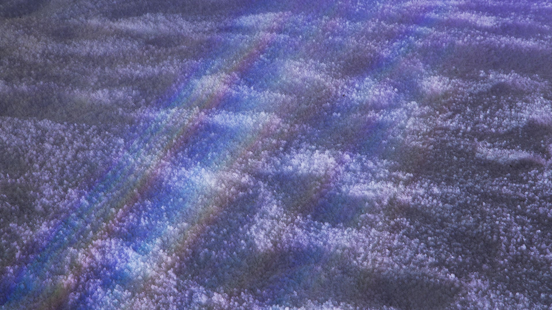 GENTLE MONSTER - Lights in Heaven Project