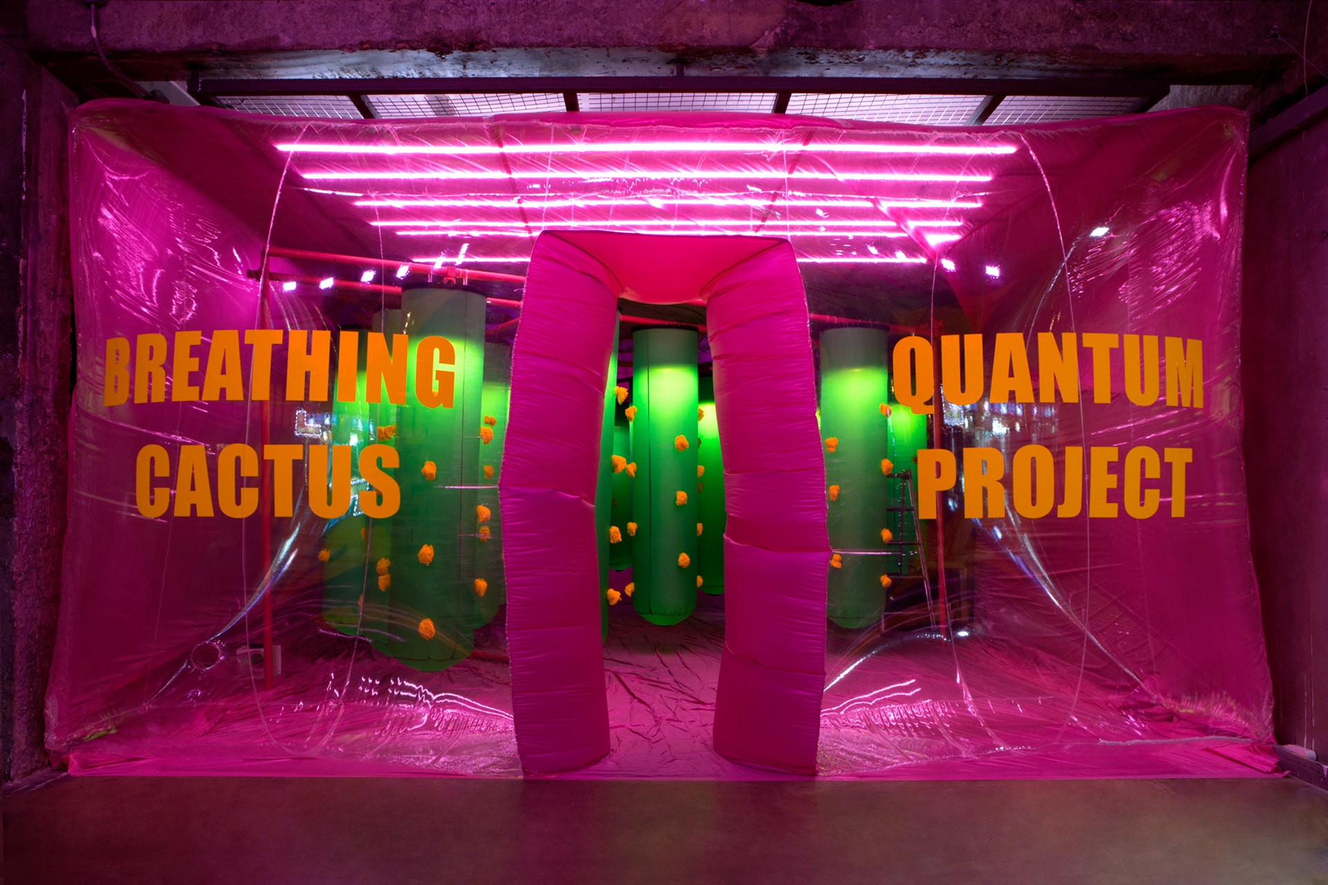 GENTLE MONSTER - Breathing Cactus Project